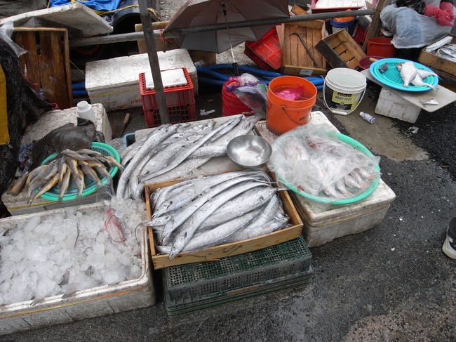 太刀魚だと思います。