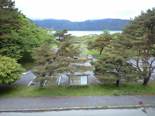 ご飯やさんからよく見える，本栖湖。