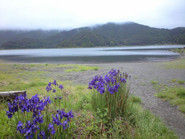 河口湖。今までの湖の中では，一番にぎやか。