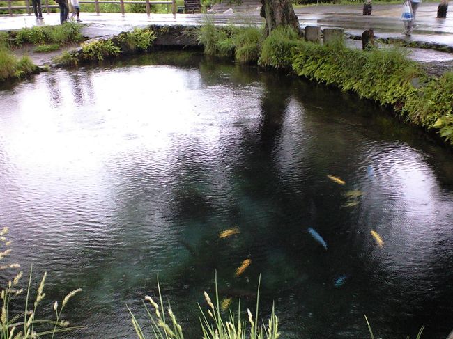 透明度抜群，百選水にも選ばれた，「湧池」