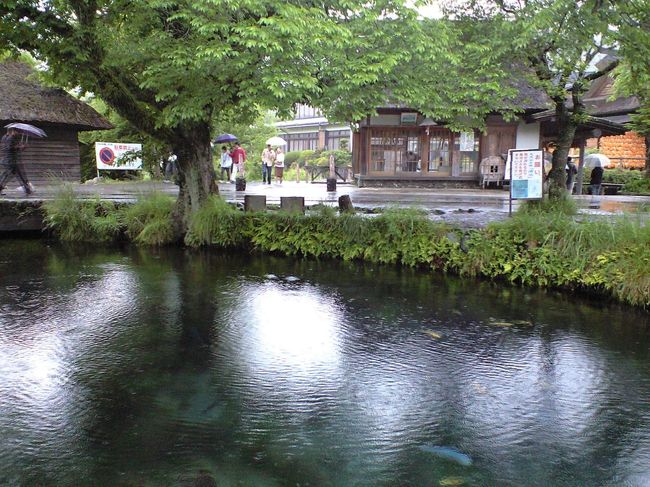忍野八海，，，。富士山にふった雨や雪が，富士山の玄武岩の地層で８０年以上の歳月をかけ，濾過された水が湧いているそうです。<br />①湧池　②鏡池　③菖蒲池　④濁池　⑤銚子池　⑥底抜池　⑦お釜池　③出口池　<br />湧池しか，名前が一致しないわー。