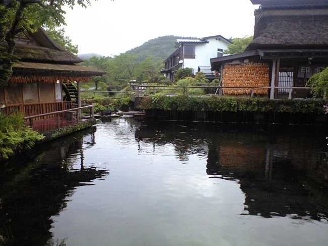 売店の前の池は一番大きく一番華やかで，絵になる池でした。