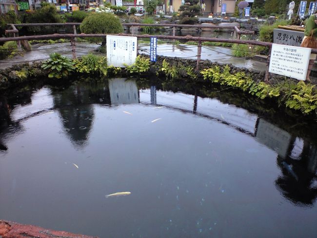 透き通って，とても深いところまで見えます。丘ねっも投げ入れられています。なぜか，傘まで！（落ちたんだろうなさすがに）