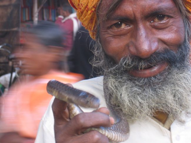 蛇使いのおっさん。<br />蛇よりおっさんの方が全然怖いよ？<br />どっちかに噛まれなきゃいけないとしたら蛇を選んでしまいそう・・・。