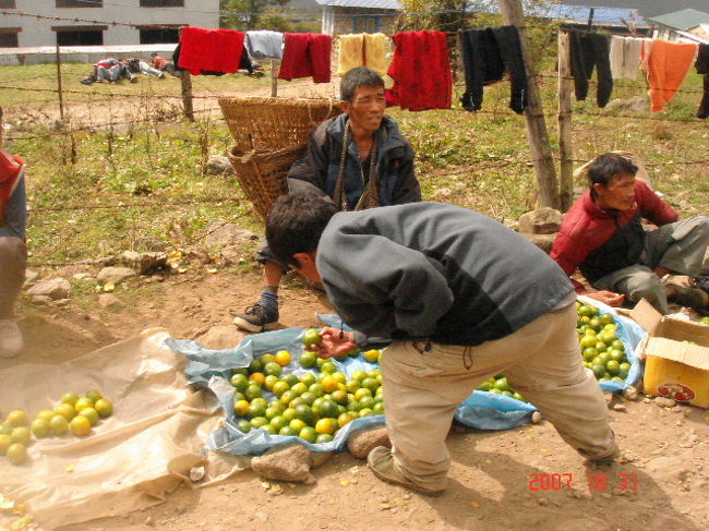 最初は楽しい。疲れてないから！？<br />みかん売りのおじちゃんがいたり。
