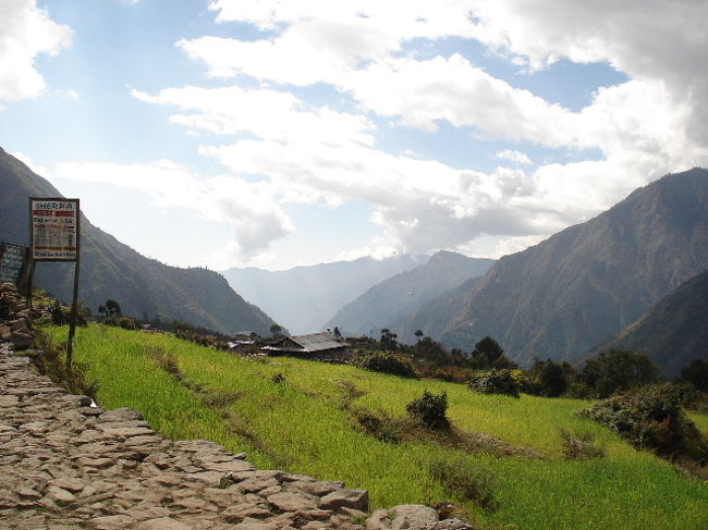 最初はこんな感じのところを歩いていきます。