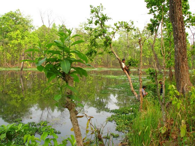 湖。<br />なんて名前の湖か全く覚えてない・・・たぶん観光客もちらほらいたので有名なのかも。<br />私の写真の腕では分からないかもしれないけどものすっごく綺麗だった！<br />中にはワニがウジャウジャいるそう。<br />夕方にはサイの群れが来るとガイドが言ってたなぁ。