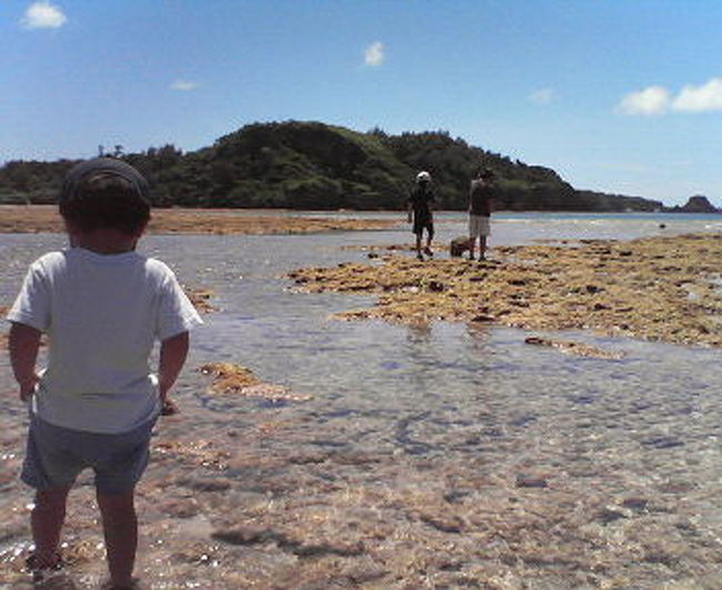 汐が引き・・・干潟に〜<br /><br />色んな生物を観察できるよ〜<br /><br />http://blog.goo.ne.jp/yoshikawasuisan02/e/d4012ab6db03703e4d63e22b23ba1fe7<br />詳しくはここをクリック〜↑