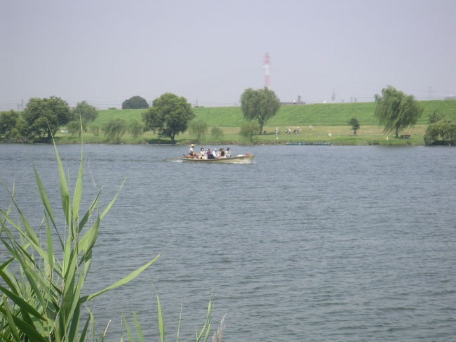 これに乗ると千葉県松戸市にある「野菊の墓文学碑」に行けます