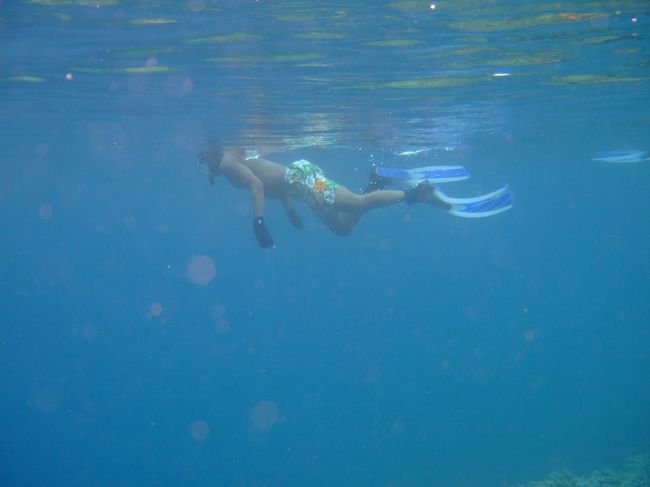 浮上後、外人さんとすれ違う。<br /><br />水温23℃、寒そう・・・。