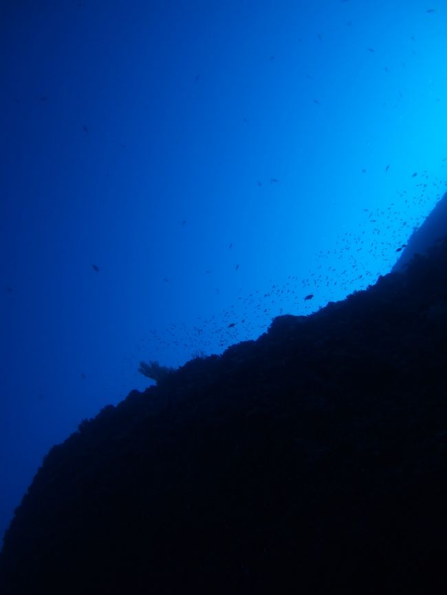 お天気も良く、海がとってもキレイ。