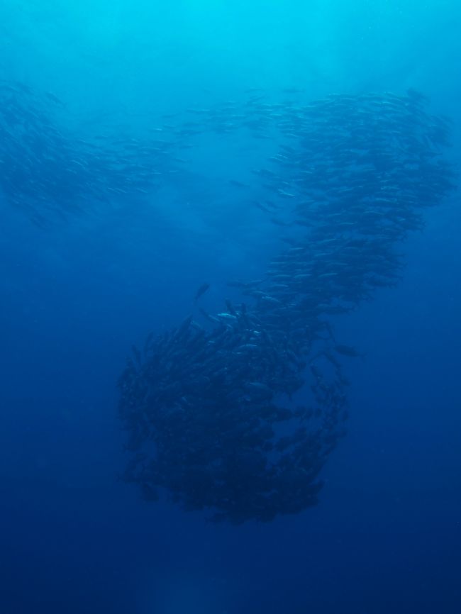 下から回り込んで♪