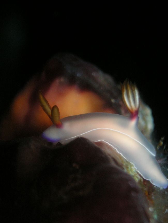 出口でソウゲ発見。<br />しばし癒しの時間。