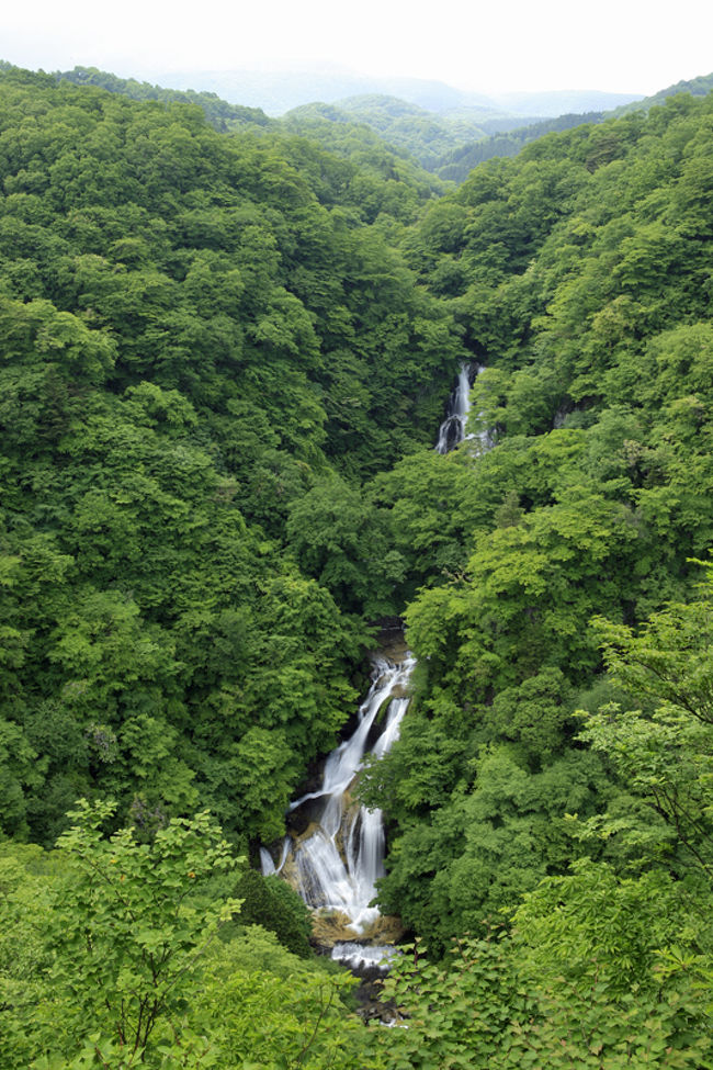 日本の滝百選』「日光三名瀑」 霧降高原の名瀑、緑の中の霧降の