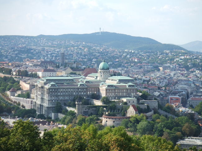 王宮の全景を見ることもできます。