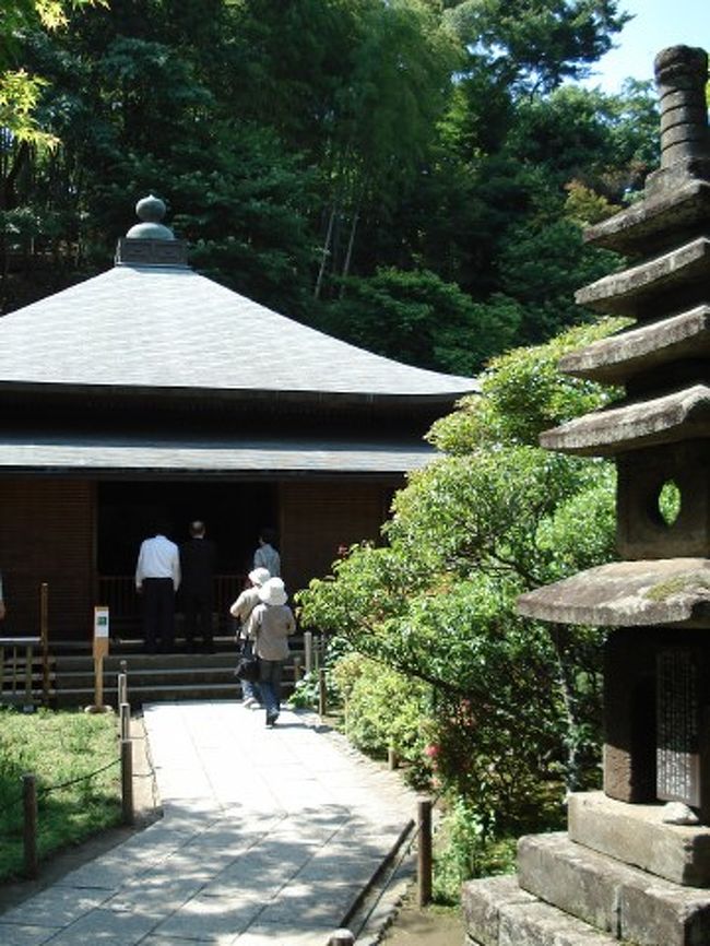 天気がいいから鎌倉行こう 東慶寺 成就院 鎌倉 神奈川県 の旅行記 ブログ By Momotaさん フォートラベル 天気がいいから鎌倉行こう 東慶寺 成就院 鎌倉 神奈川県 の旅行記 ブログ By Momotaさん フォートラベル