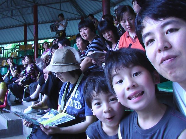 ワニ園のショー開始です。100人くらいはいたけど、日本人は自分達だけで、ほとんど中国のツアーかタイの人かな。。。（感覚的には、規模の小さい地方競馬のようなローカルな感じです。）