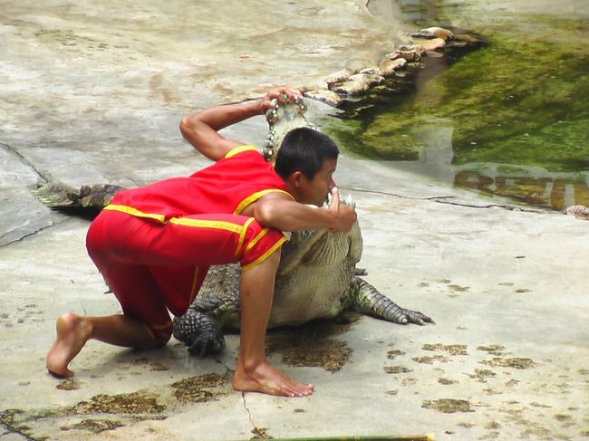 よくＴＶで見かけるショーの見せ場です。<br />
