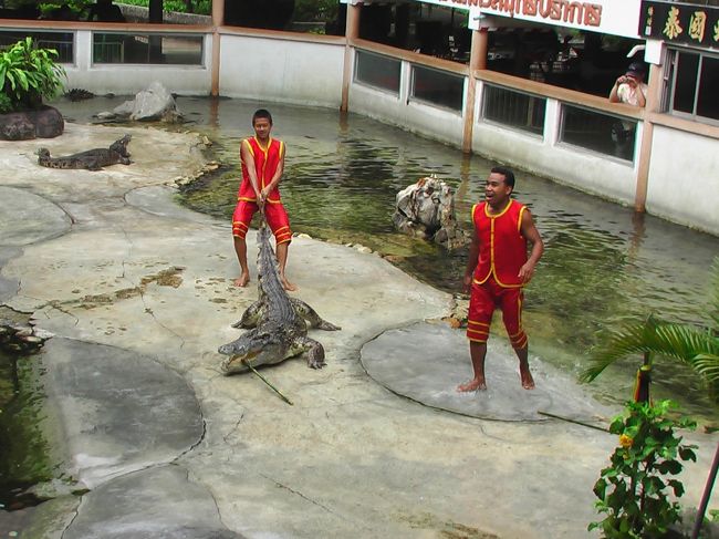 ショウの最初にワニを集めるのですが、結構時間がかかります。子供たちはこのあたりで飽きてしまいました。。。