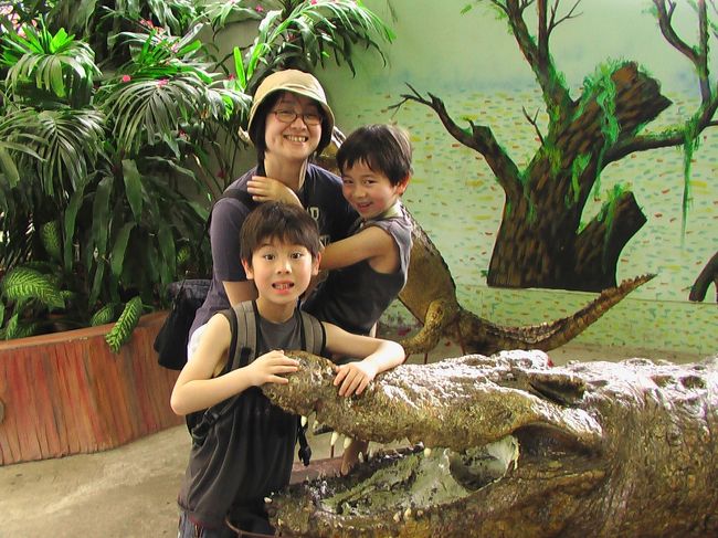 下の子供は、まだ剥製ワニが怖くて触れません。。