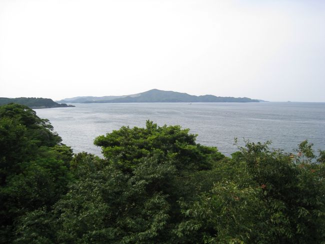 ここは４階なので、当然下には３階と２階の客室があるのですが、<br />この木の茂りよう。。。<br />３階とか海は見えるのかしら？<br />２階には４人用のフレンドリールームというのがあって、<br />こちらからは海は見えない、と説明がありましたが。。。