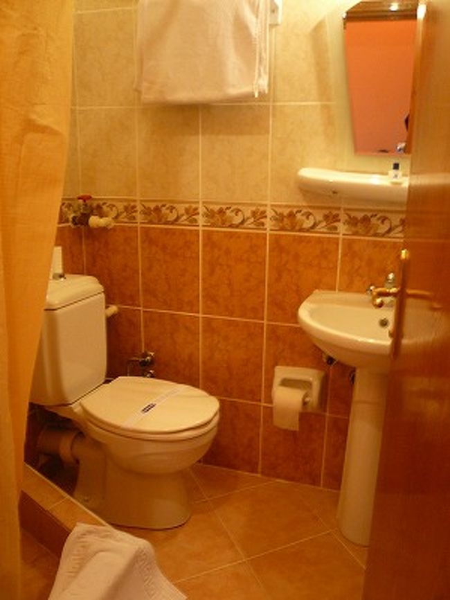 シャワー・トイレ付きです。<br />バスタブはなくスペースは狭かったです（他の部屋は分かりません）が、きれいでした。<br />シャンプー・石けんが置いてありました。<br />バスタオル・フェイスタオル・バスマットも毎日交換してくれました。