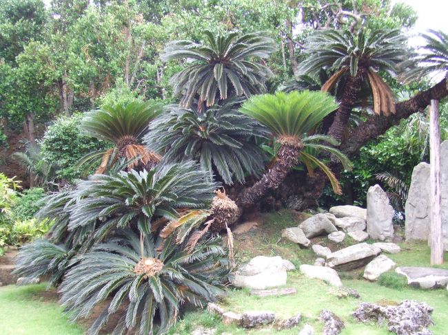 手入れが行き届いていて感心です。<br />