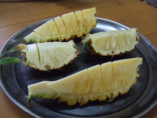 赤峰パイン園にて甘くて美味しいパイナップルをいただきました。大きいのが「スナックパイン」で、小さいのが「ピーチパイン」