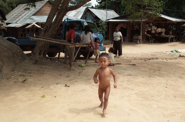 ダッシュ！！<br /><br />何故かこちらに向かって一直線に走ってくる。