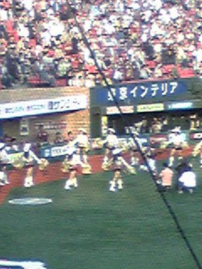 カウボーイスタイルのチアリーダー。どこの球団もファンサービスを考えている。