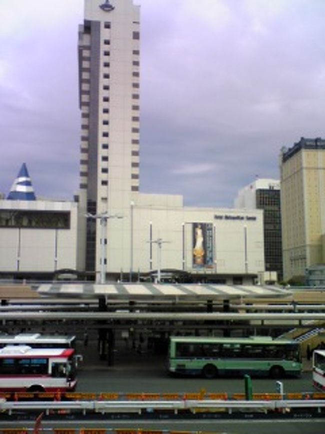 ビジネスホテルがたくさんある。しかし、お金と時間がないから夜行バスで日帰りだ。