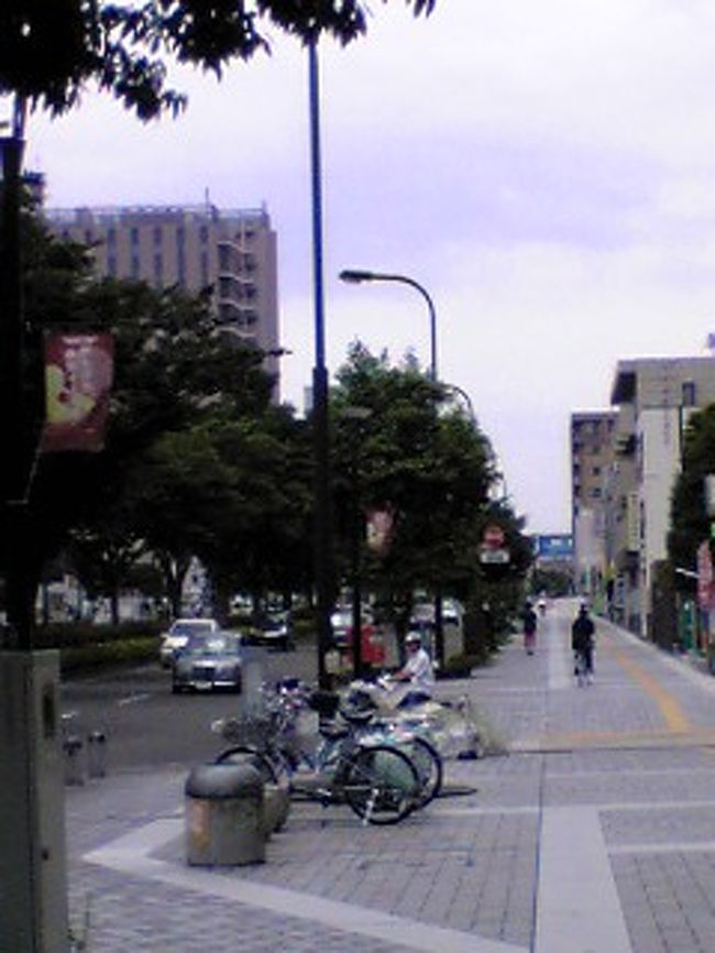 この時間、仙台駅行きのシャトルバスがないのでてくてく20分位また歩かねばならず。タクシーが止まっていたが、ここは贅沢をせず我慢。