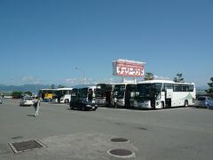そして今年もここに！
山形から車で20分の距離にある寒河江市のチェリーランド！！

この季節は大型バスがいっぱいでした〜！
