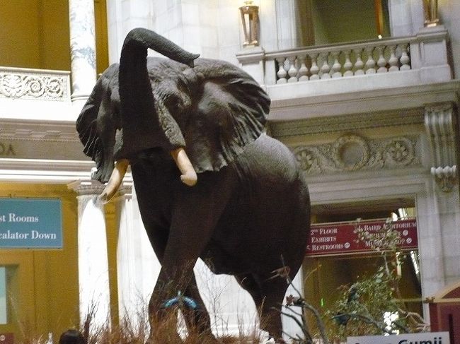 国立自然史博物館(スミソニアン)』ワシントンD.C.(アメリカ 国立自然史博物館(スミソニアン)』ワシントンD.C.(アメリカ