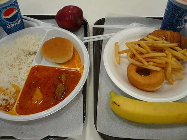 ２カ所、フードコートのようなところがありますが、ミールクーポンを発行してくれているすぐのところ、子どもの遊ぶ場所の隣で、食事ができました。<br />ご飯にかけるものを選べました。<br />これは確かハンガリアンと書いていたと思います。<br />子ども用には、ポテトやドーナツをもらいました。<br />果物、ジュースも一緒につけてくれます。