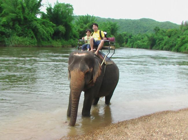 川の中は象が気持ちよさそうですね。。<br />ここからは、象のりの人は下に降りて写真とって<br />くれたので、自動操縦モードになってます。。