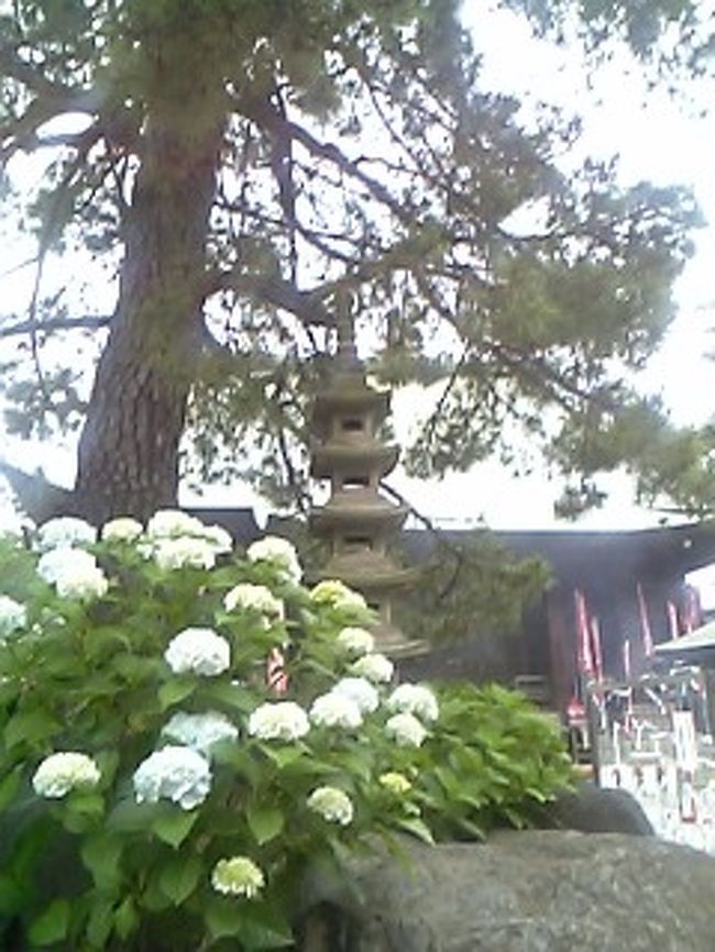 左の端に喋がいます。<br />喋もあじさいに惹かれてます♪