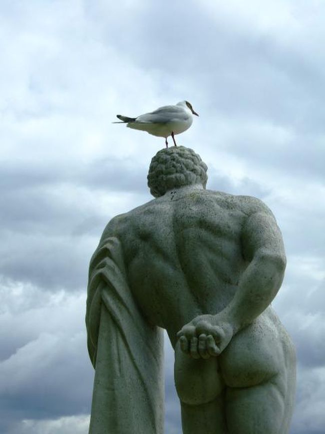 この子はここがたいそうお気に入りのようでした。