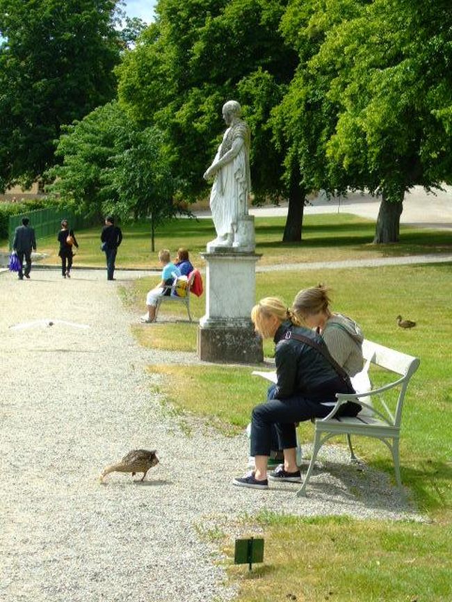 隣の人が鴨に餌をあげているのを見て私も真似を。