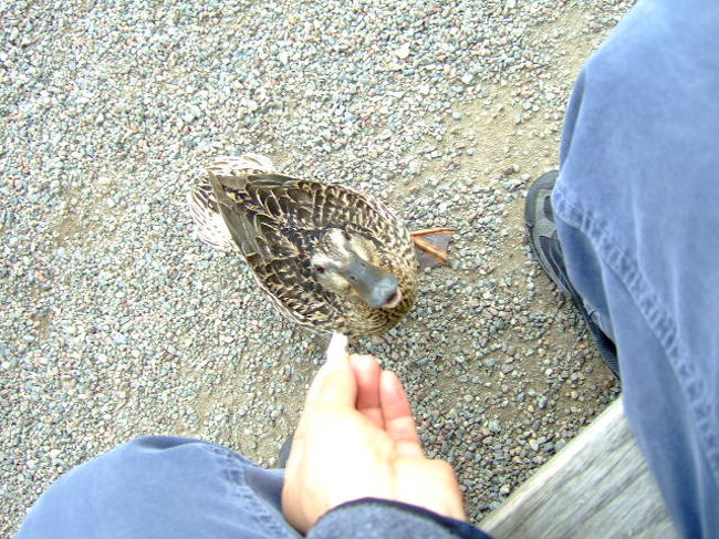 私「わかったよ、はい」