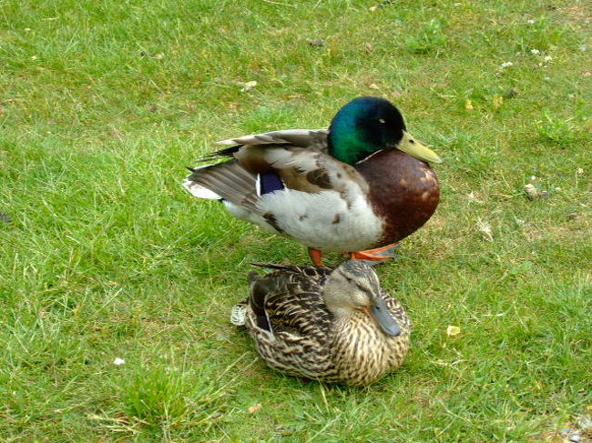 「あ〜ぁ、食った食った」<br />「休憩せな胃ぃもたれるでぇ」