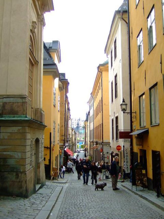 いちばんにぎやかな辺りにやって来ました。