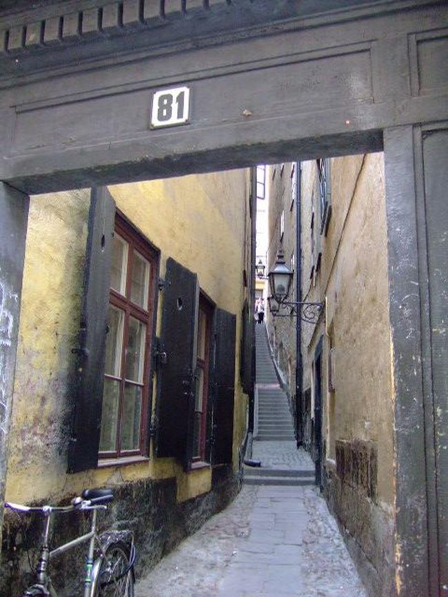 出た。ここが「一番狭い通り」モーテン・トローツィグ・グレンです。