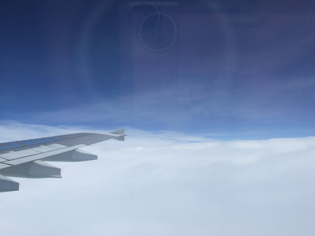 ラッキーなことに窓際ゲット☆