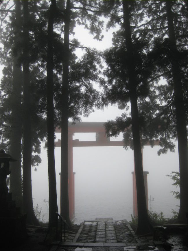 幻想的な箱根神社と春爛漫つつじ祭り 元箱根 芦ノ湖周辺 神奈川県 の旅行記 ブログ By エフさん フォートラベル
