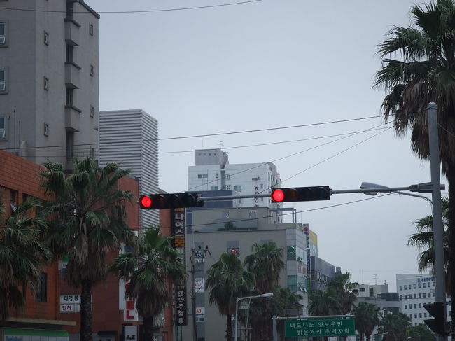 タクシーに乗って、新済州市にいきました。<br />ぷらぷらと人間観察＆ウィンドウショッピング♪<br />韓国の人って、肌がとってもキレイ！な気がしました。<br />それと、一つ疑問が。。。<br />女の子、ほとんど前髪ぱっつんなんです！<br />ぱっつんが校則なのかと思うくらい(笑)<br />そんで、黒ぶちメガネがすごい多い。。。<br /><br />信号機が日本と微妙に違うんですよね〜。