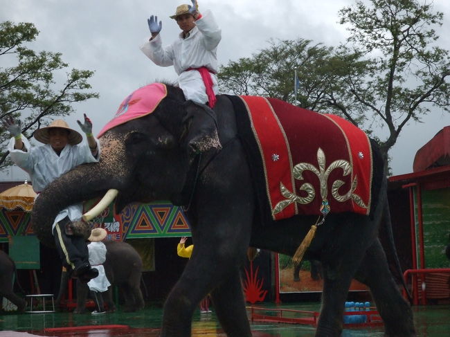 ２日目はタクシーをチャーターして、いろいろ連れて行ってもらいました。<br /><br />はじめは、なんとなんと！韓国なのに象ランドに行ってしまいました（＞∀＜）<br />韓国語で分からなかったけど、象のショーを見て大興奮！！<br />象がすごい目の前まで来てくれるんです。<br />なかなかオモシろかったっす☆