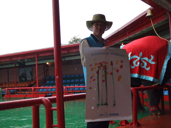 これは、象さんが書いた花の絵！？<br />なかなかの出来ですよね（＾ｍ＾）