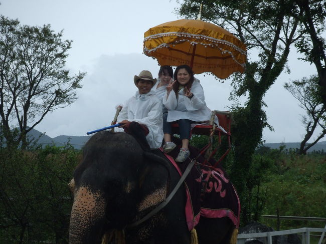 ショーの後は、象さんに乗っちゃいました！！！<br />１５分くらい乗ったかな？<br />なかなかの乗り心地です。程よい揺れが気持ちいい♪<br /><br />象使い君と英語でお話しました。<br />うちら、つたない英語だったけど、象使い君は無邪気な笑顔でお話してくれました。<br />とってもかわいかったです♪