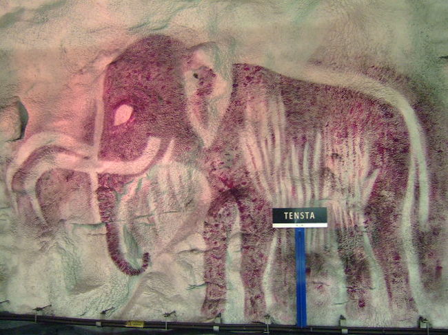 壁面にスプレーで象さんやら